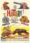 Hatari! (1962)2.jpg